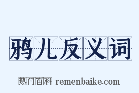 鸦儿反义词是什么意思的图片